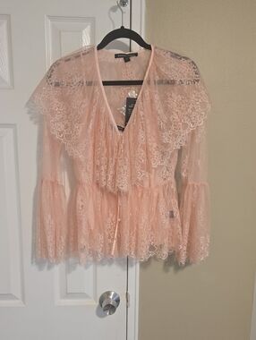 Boston Proper Blush Pink Lace Ruffled Blouse